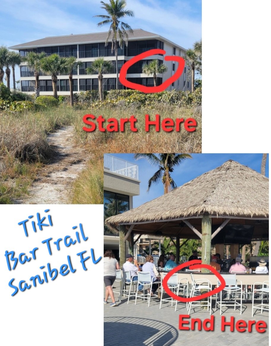 Sanddollarc2201 llc image 1