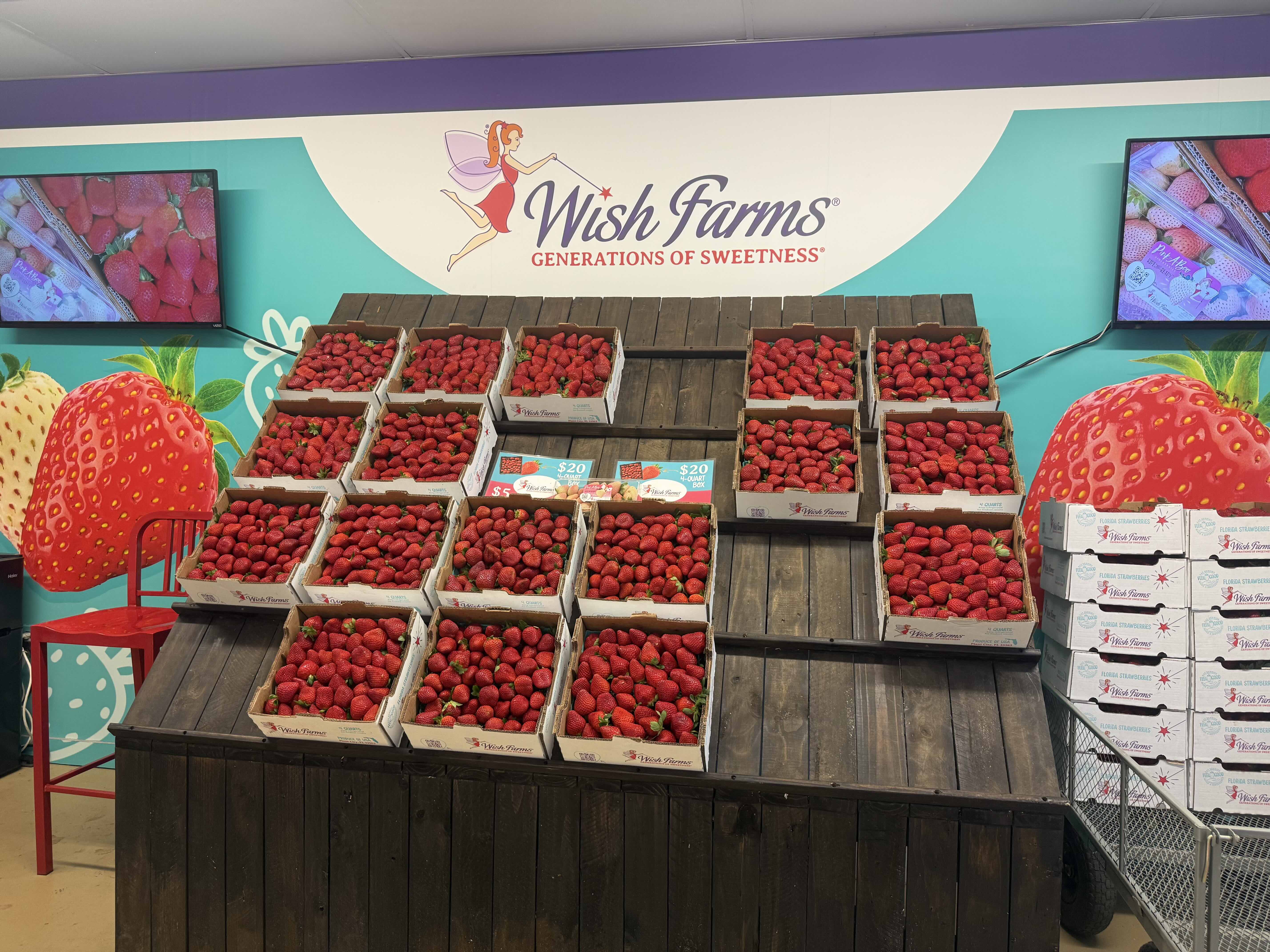Wish Farms free strawberry samples